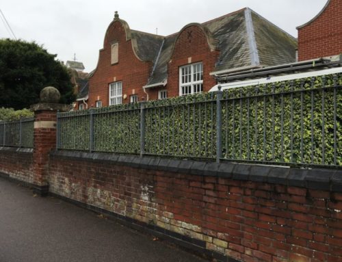 Bespoke printed hedge panels